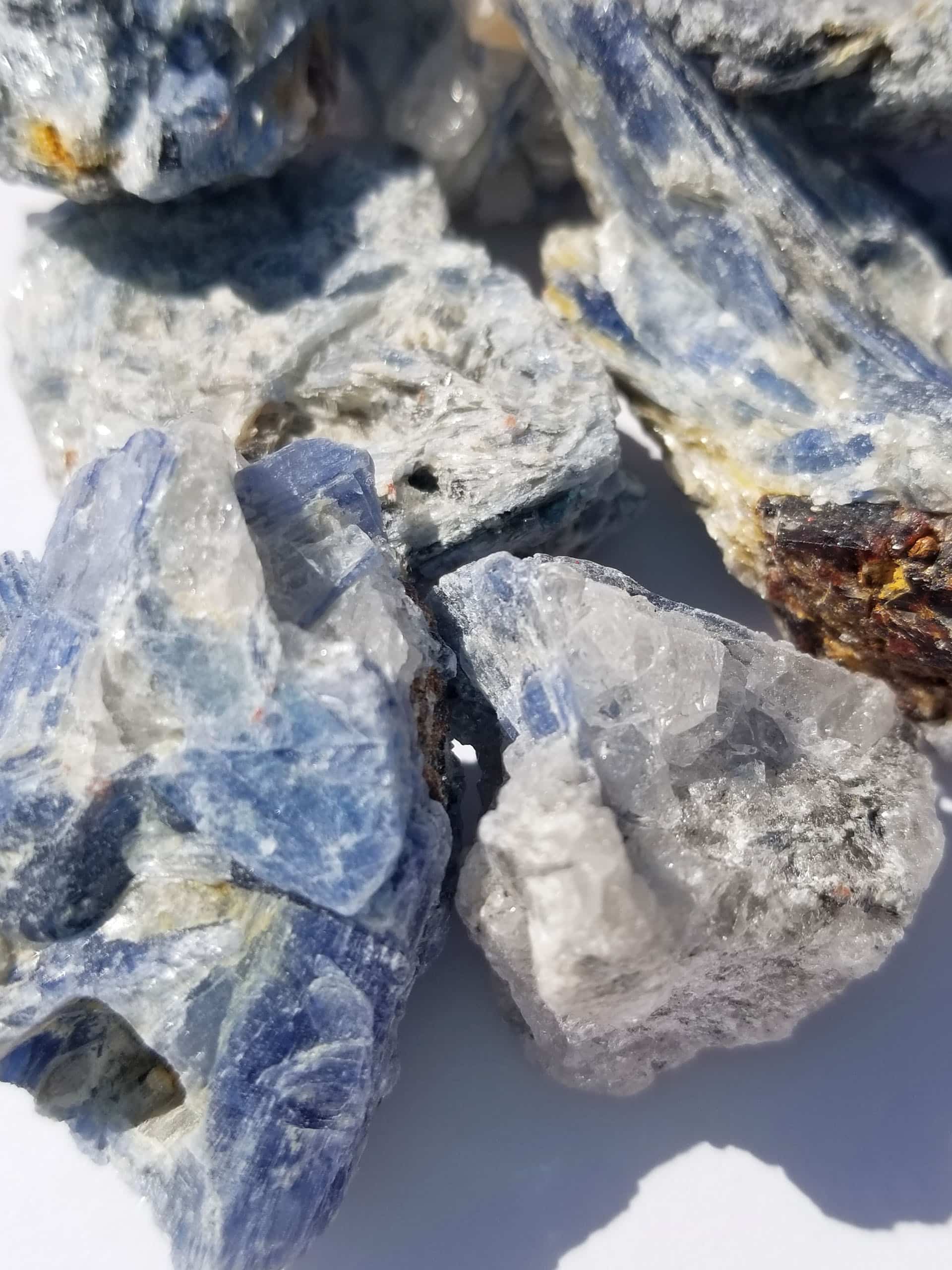 Miami Crystal Store Blue Kyanite Crystals