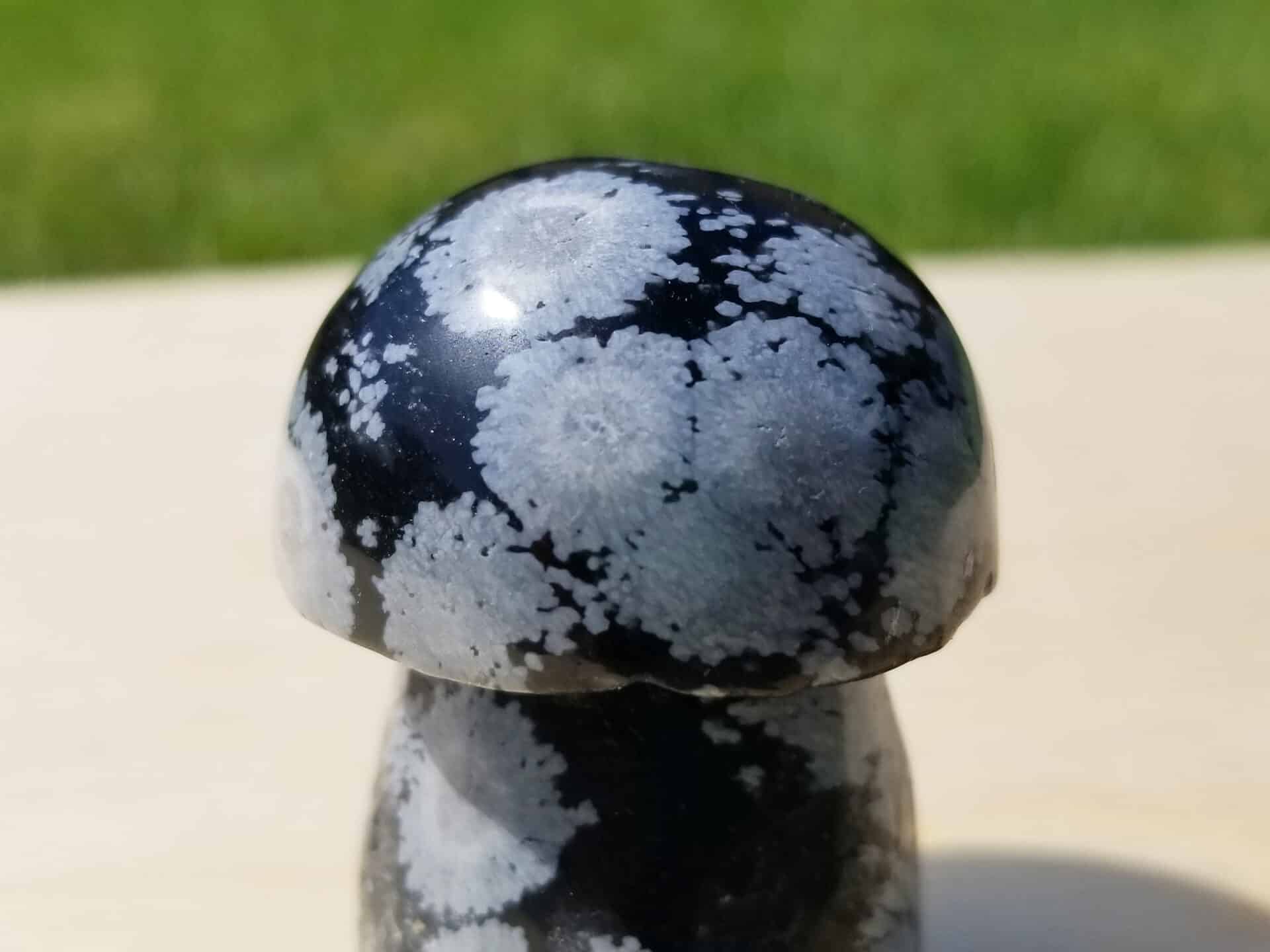 Black Snowflake Obsidian Mushroom