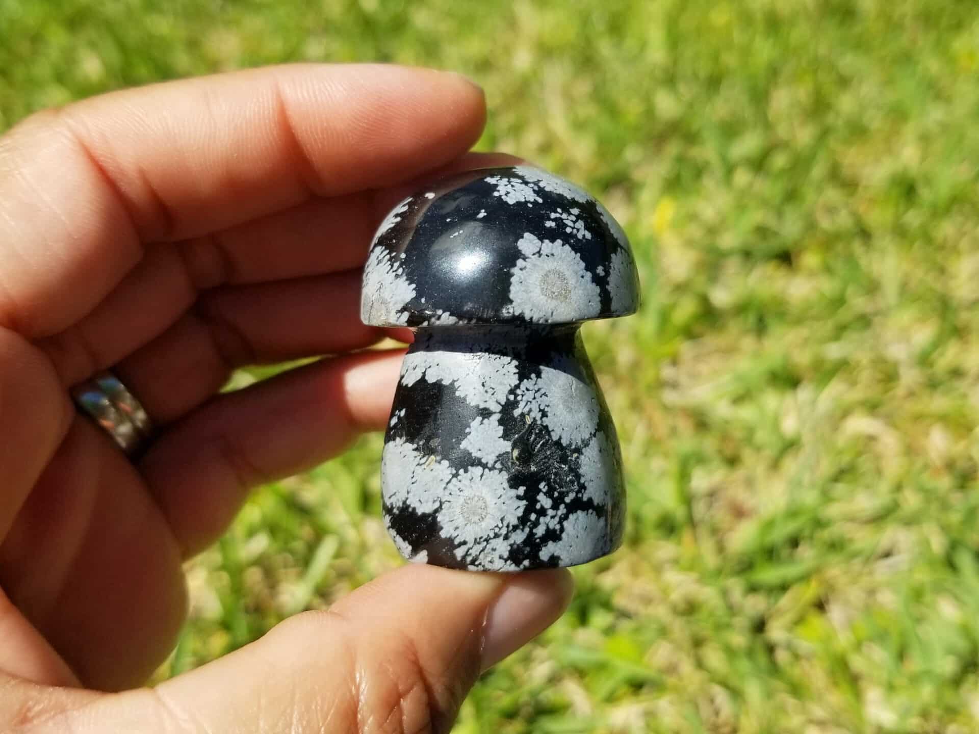Black Snowflake Obsidian Mushrooms