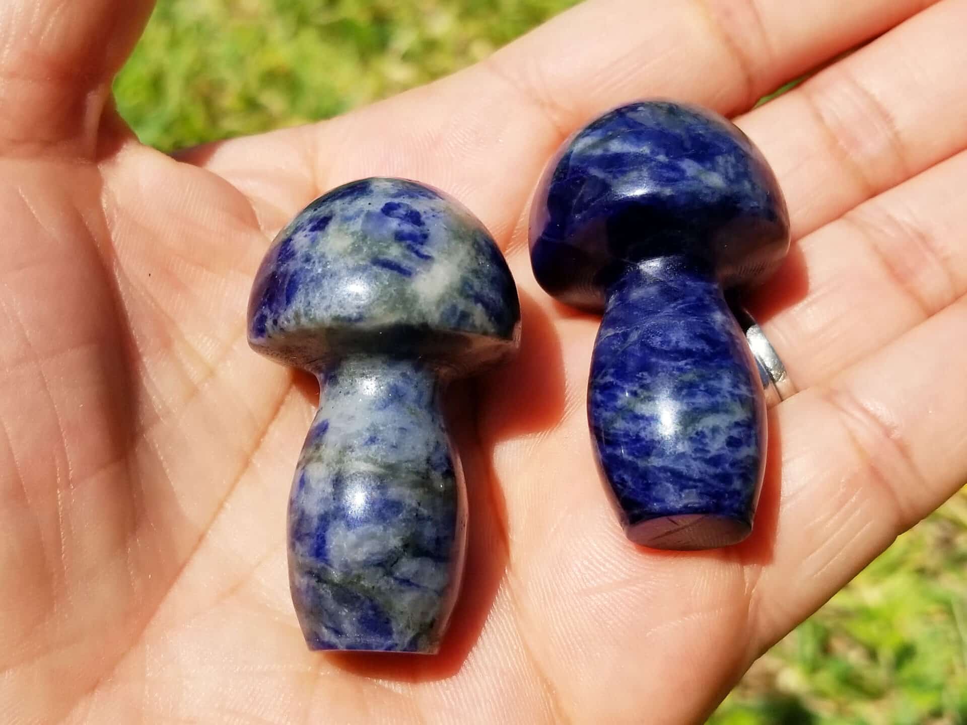Blue Sodalite Mushrooms