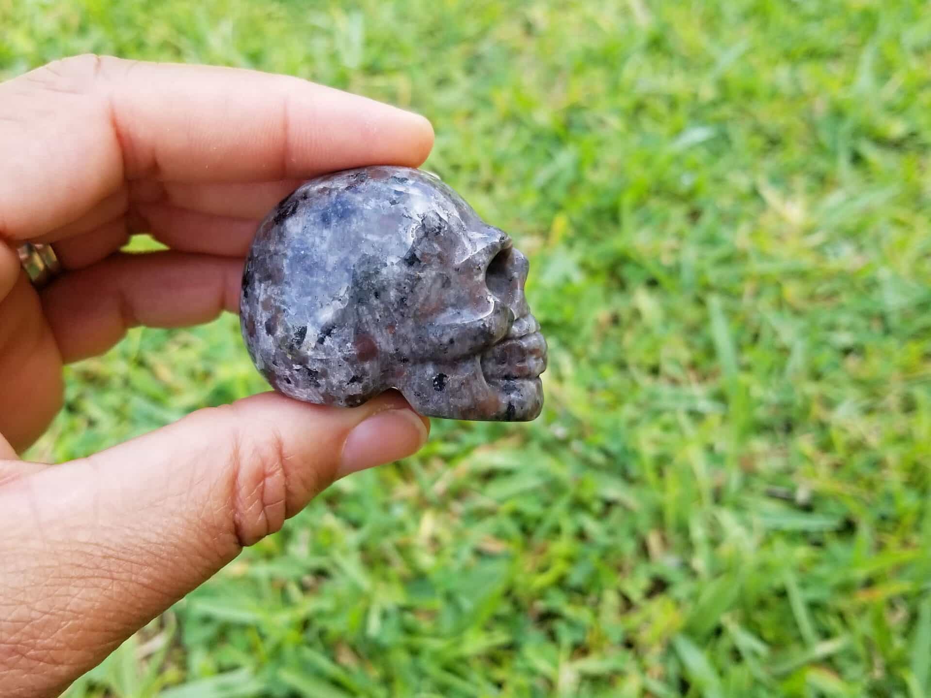 Small Yooperlite Skulls